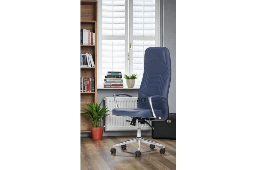 Form Yönetici Sandalyesi